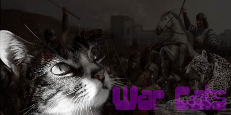warcat.jpg