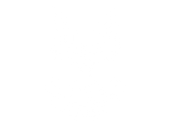 unsc_logo_enlarged.png